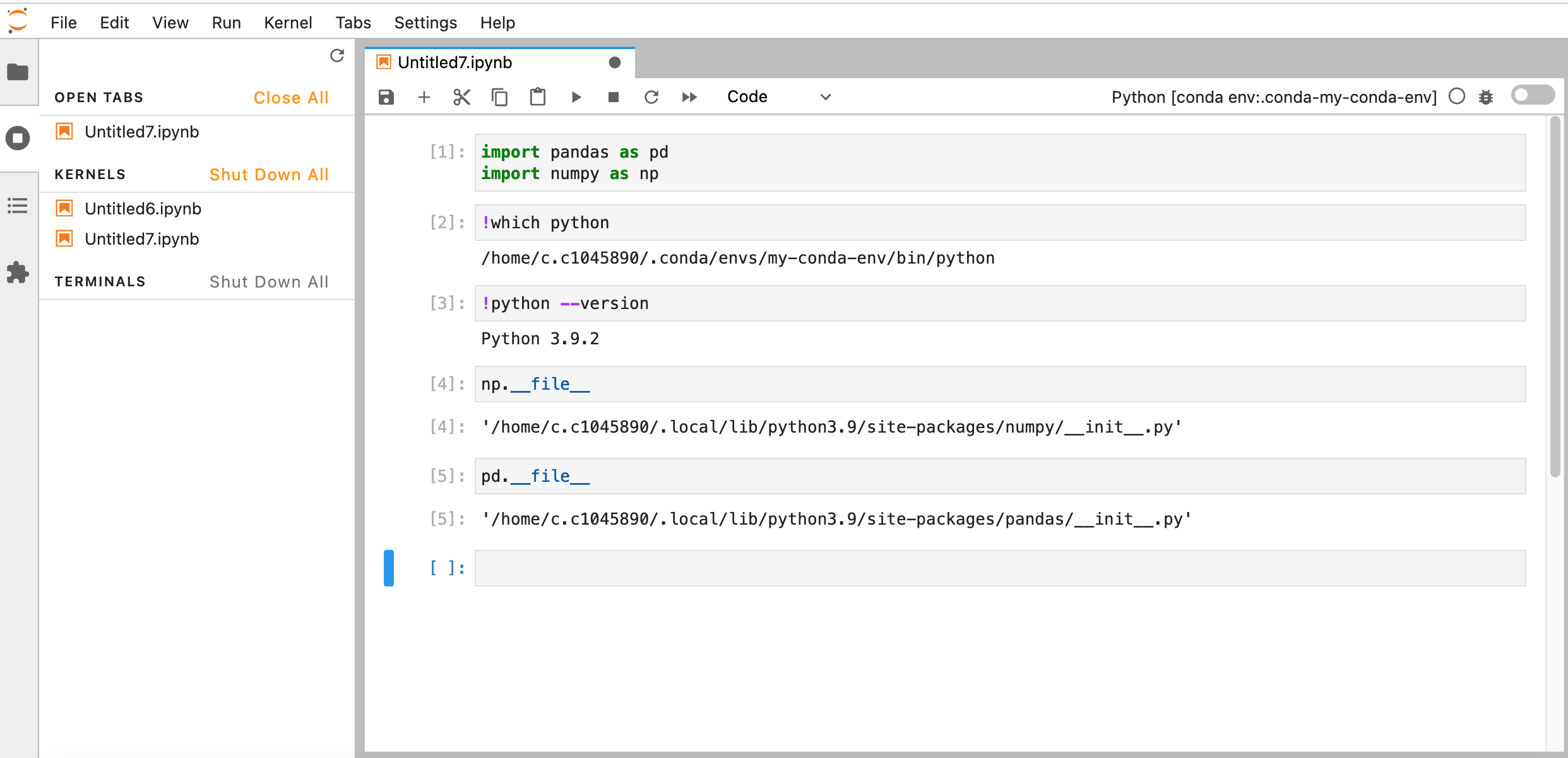 Confirm the Python version, and paths to libraries included in environment.