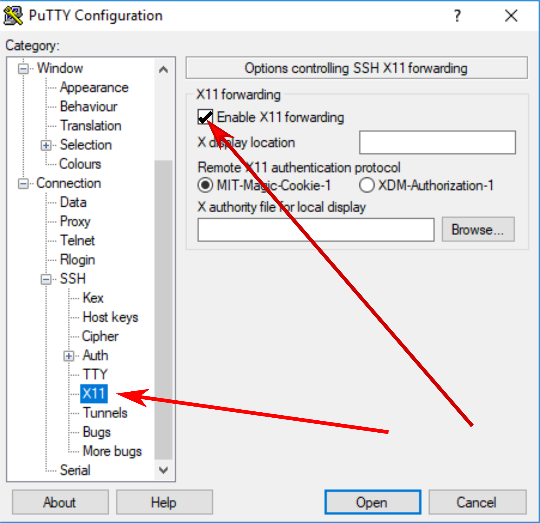 Putty X11 settings